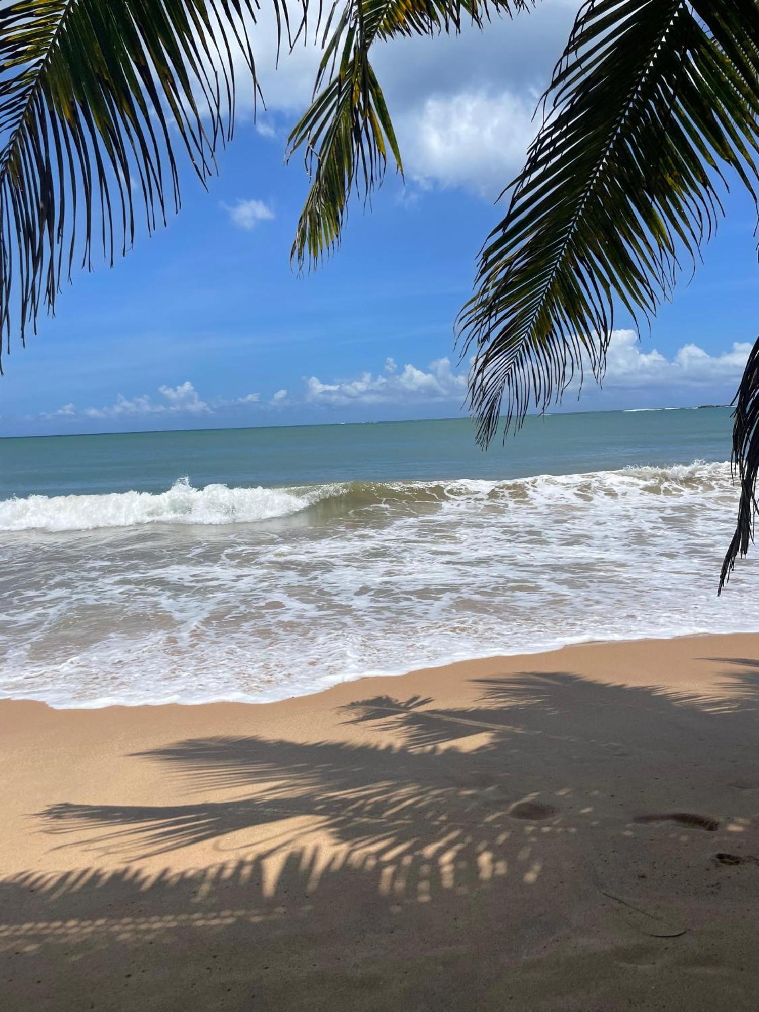 Frangipani Beach Villa Tangalle Eksteriør bilde